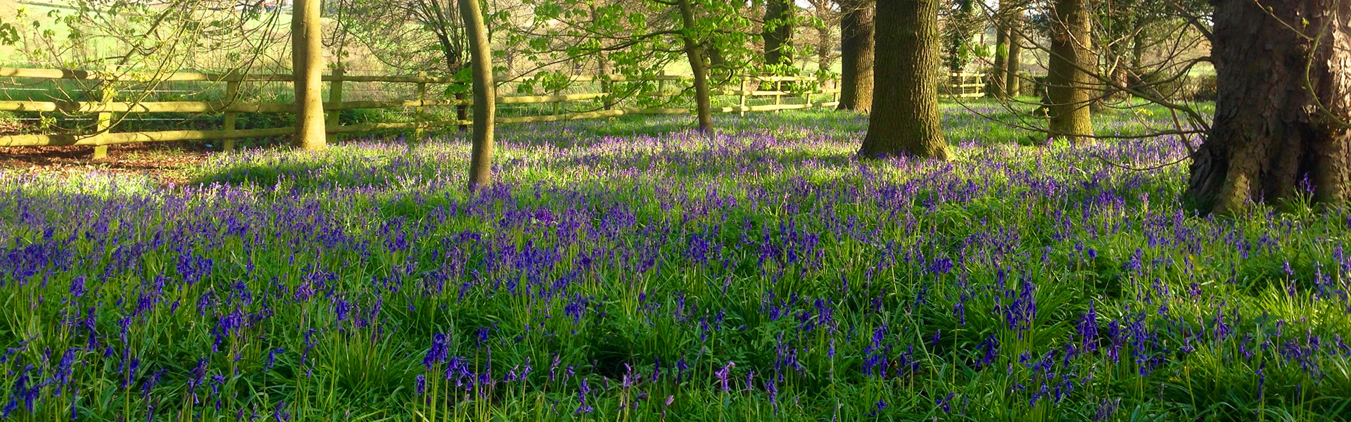 Dale Hill Natural Burial